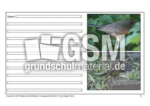 Amsel-eigene-Texte-8.pdf